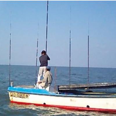 ふるさと納税 太良町 佐賀県有明海産 一番摘み 高級海苔 焼のりセット 【OA7x1】 |  | 01