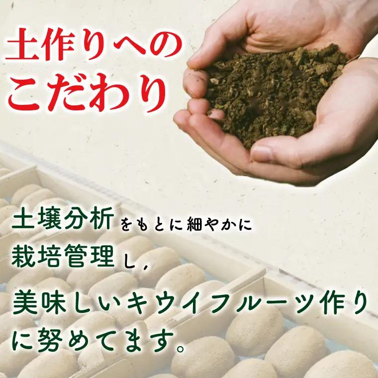 【先行予約】【11月発送開始】東京ゴールドと香緑2種詰め合わせ24～27玉入り 大晴農園のキウイフルーツ（BY005）