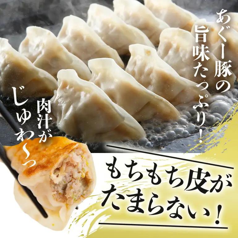 餃子 80個セット 20個入×4パック あぐー 61-3