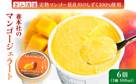 養本社のマンゴージェラート　6個入 ｜アイス デザート スイーツ 贈り物 ギフト プレゼント
