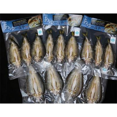 ふるさと納税 高野町 【大人気】「旨いはずです。」特選あゆ一夜干しセット(13枚入り) |  | 01