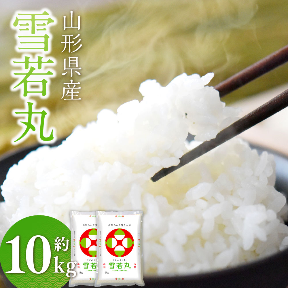 【ふるさと納税】雪若丸〈令和6年産〉 約10kg（約5kg×2袋セット） 【2025年7月上旬順次発送予定】 白米 10キロ 精米 ブランド米 お米 山形県 白鷹町 送料無料