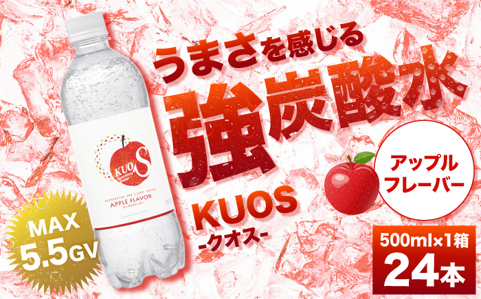 強炭酸水クオス アップルフレーバー 500ml×24本 炭酸水 日田市 / 株式会社OTOGINO [AREF014]