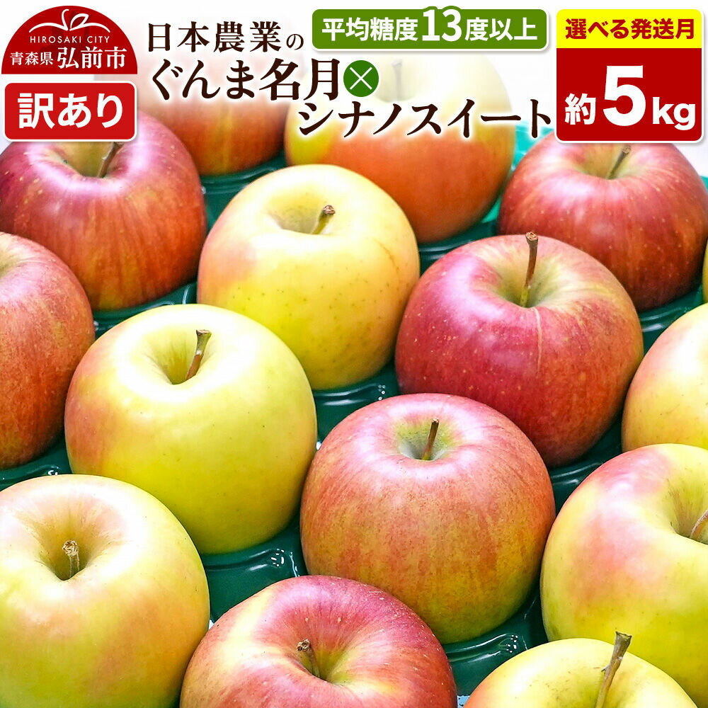 【ふるさと納税】りんご【選べる 26年11月〜27年1月 発送】ぐんま名月×シナノスイート【訳あり】約5kg 平均糖度13度以上 青森県 弘前市 果物 フルーツ 林檎 リンゴ くだもの 不揃い 規格外 [先行予約 家庭用 産地直送 アップル 青森県]