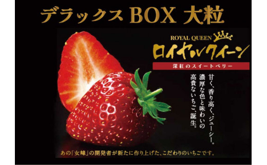【2025年1月中旬より順次発送】 果肉まで真っ赤な深紅のスイートベリー『58ロハスファームのロイヤルクイーン』2箱｜いちご 苺 果物 フルーツ 産地直送 先行予約 [0579]