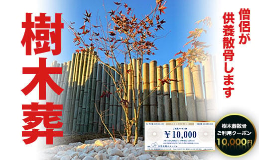 SK03403 樹木葬散骨ご利用クーポン10,000円 ふるさと納税 供養 お墓 樹木葬 散骨 献花 お祈り 先祖 命日 お盆 お彼岸カンシャ 千葉県 大多喜町 送料無料