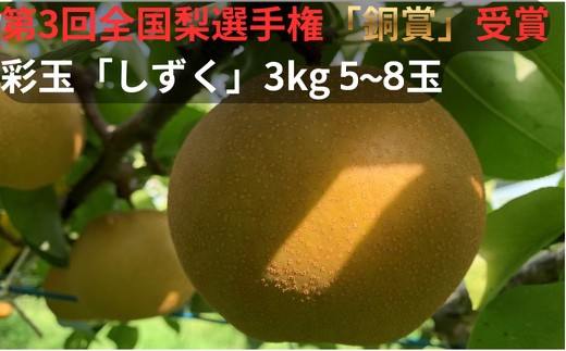 
                  【R9先行予約】彩玉 3kg 5～8玉 「しずく」 全国梨選手権 銅賞受賞 アルファイノベーション株式会社 | 埼玉県 白岡市
                