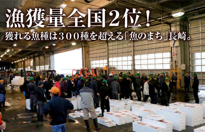 A274b 《定期便》干物･西京漬食べ比べセット丸富水産【3回お届け】