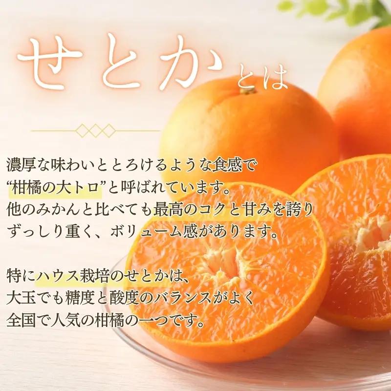 せとか 阪口農園のハウスせとか 3kg【msa001B】