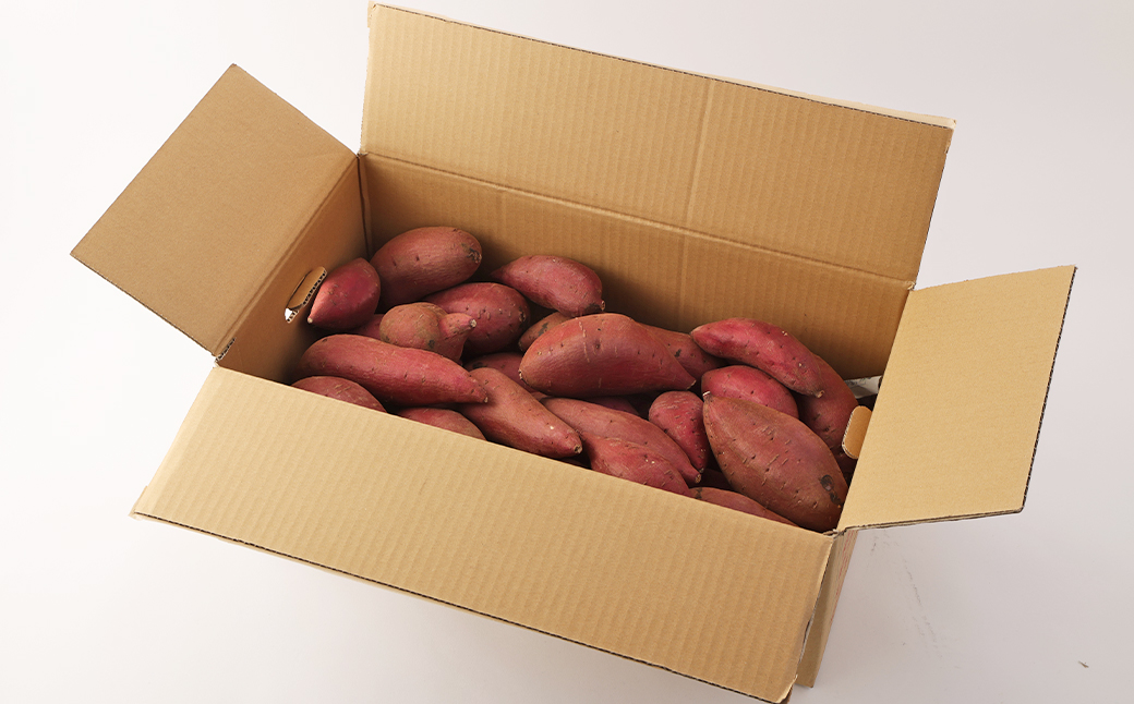 熊本県産 紅はるか 約5kg べにはるか さつまいも サツマイモ さつま芋 お芋 芋 【2026年3月下旬まで発送予定】