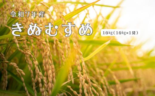 150252【令和7年産】しまね川本きぬむすめ10kg