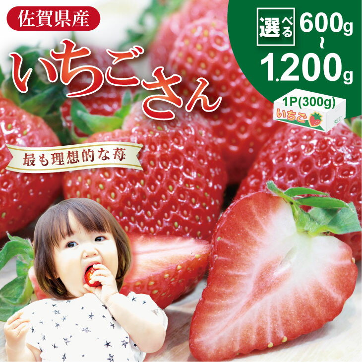 【ふるさと納税】【先行予約令和8年2月配送開始】いちごさん （600g・900g・1200g） ふるかわ農園 農家 直送品 果物 くだもの フルーツ 人気 ランキング 高評価 選べる 苺 イチゴ 佐賀 送料無料 1パック 300g【A075-017】
