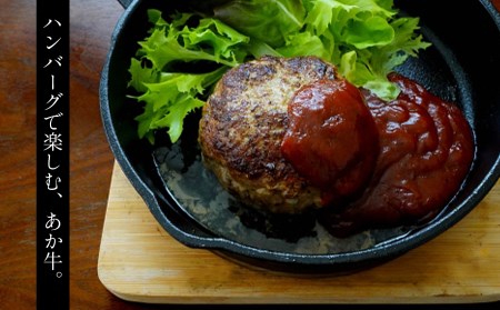 肥後の赤牛ハンバーグ 150ｇ×10 G-38 | 熊本県 熊本 くまもと 和水町 なごみ 牛肉 肉 あか牛 赤牛 肥後 ハンバーグ 150g 10個