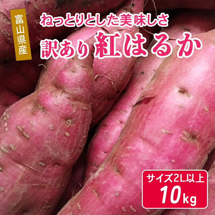 【ふるさと納税】富山県魚津産さつまいも 紅はるか 10kg 傷アリ訳アリ サイズ2L以上｜長引野 黒ボク土 ねっとり 土付 ※北海道・沖縄・離島への配送不可