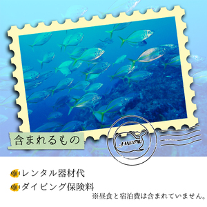 徳島最南端の海で体験ダイビング!