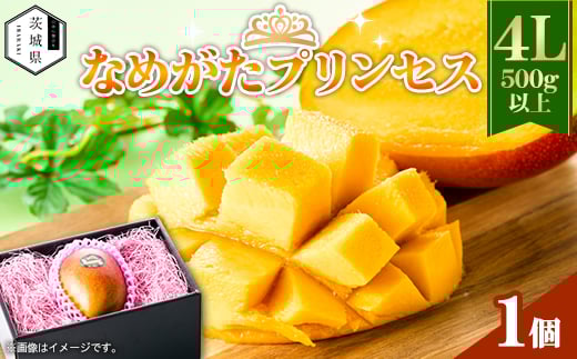 茨城県産 なめがたプリンセスマンゴー4L＜500g以上＞1個【1647816】