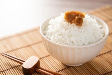 昔ながらのすっぱい梅干し（白干梅） Y098