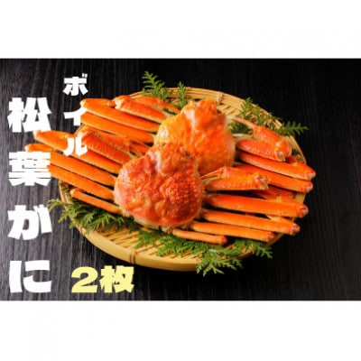 『鳥取の冬の味覚の王者』(ボイル)松葉がに　2枚　【年内配送】【配送不可地域：離島・北海道・沖縄県・東北・関東・信越、北陸・東海・九州】
