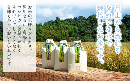 【令和7年産先行予約】 黒川まるいし農場の特別栽培米 コシヒカリ 10kg (5kg×2)　山形県鶴岡市産　K-784