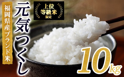 ＜数量限定＞JAよりお届け！福岡県産米 元気つくし (計10kg)お米 おこめ 米 こめ コメ 白米 福岡県産 ブランド米 常温 常温保存【ksg1814】【農産物直売所ほたるの里】