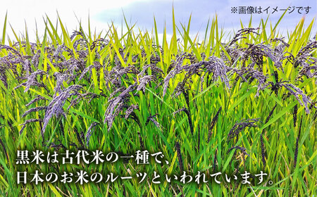 十穀米 糸島市 / 弥冨農園 雑穀米 雑穀 [ALA055]