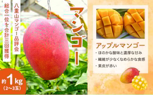 2026年 先行予約 セット パイン 約1.5kg マンゴー 約1kg 農園ファイミール 果物 フルーツ