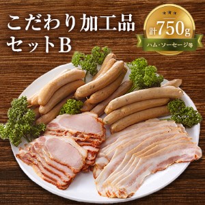 【無添加・無着色】こだわり加工品セットB(ハム・ソーセージ等750g) 【配送不可地域：離島】【1004534】