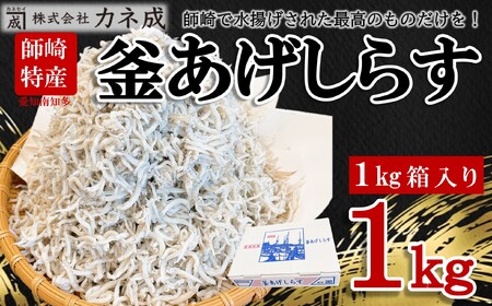 釜揚げしらす 1kg (1箱) 減塩 無添加 無着色 冷凍 カネ成  愛知県 南知多町 ( ｼﾗｽ ｼﾗｽ ｼﾗｽ ｼﾗｽ ｼﾗｽ ｼﾗｽ ｼﾗｽ ｼﾗｽ ｼﾗｽ ｼﾗｽ ｼﾗｽ ｼﾗｽ ｼﾗｽ ｼﾗｽ ｼﾗｽ ｼﾗｽ ｼﾗｽ ｼﾗｽ ｼﾗｽ ｼﾗｽ ｼﾗｽ ｼﾗｽ ｼﾗｽ ｼﾗｽ ｼﾗｽ ｼﾗｽ ｼﾗｽ ｼﾗｽ ｼﾗｽ ｼﾗｽ ｼﾗｽ ｼﾗｽ ｼﾗｽ ｼﾗｽ ｼﾗｽ ｼﾗｽ ｼﾗｽ ｼﾗｽ ｼﾗｽ ｼﾗｽ ｼﾗｽ ｼﾗｽ ｼﾗｽ ｼﾗｽ ｼﾗｽ ｼﾗｽ しらす しらす しらす しらす しらすしらす しらす