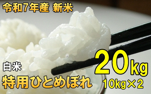 【4月16日より価格改定】数量限定 令和7年産 岩手県奥州市産 特用ひとめぼれ 白米 20kg [AC039]