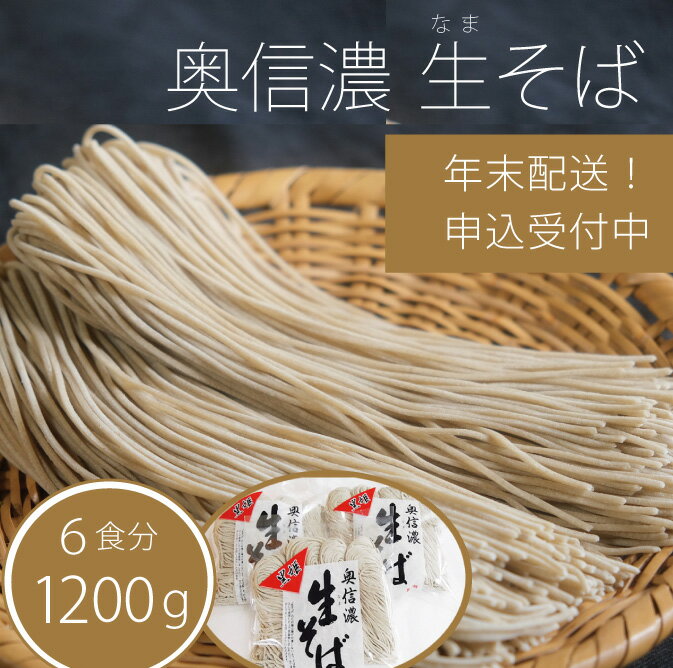 【ふるさと納税】 年越しそば「奥信濃 黒姫生(なま）そば」6食セット 【年末お届け】 そば 蕎麦 ソバ限定100セット【長野県信濃町】