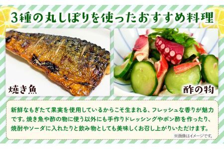 丸しぼりゆこう・ゆず・すだち3本セット 150ml×各1本 株式会社阪東食品 《30日以内に出荷予定(土日祝除く)》│調味料柑橘ゆずすだち果汁ぽん酢果実酢調味料柑橘ゆずすだち果汁ぽん酢果実酢調味料柑橘