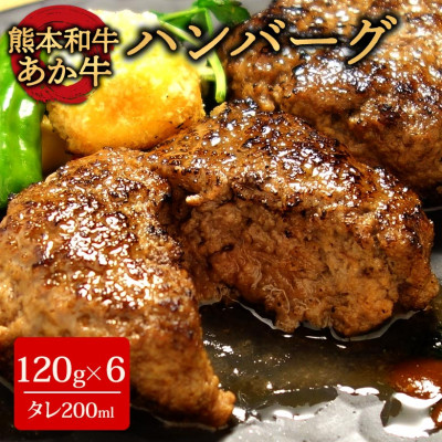 あか牛100%ハンバーグセット(あか牛ハンバーグ120g×6個 あか牛のたれ200ml)(阿蘇市)【配送不可地域：離島】【1444021】