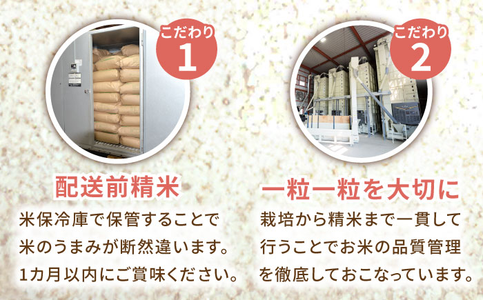 ＜14年連続特A評価＞令和5年産 さがびより 玄米 10kg /江口農園 [UBF006] 米 お米 ブランド米