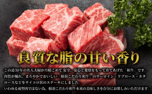 根羽こだわり和牛 サイコロステーキ(400g)　国産牛 黒毛和牛 サーロイン リブロース カタロース
