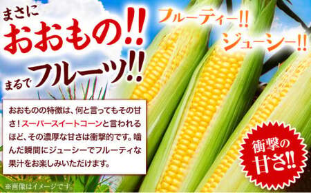 朝採れ直送！ とうもろこし おおもの 甘い 約5kg 13本入 2Lサイズ 七戸宏大《7月下旬-8月下旬出荷》岩手県 九戸村 トウモロコシ 5kg スイートコーン 新鮮 冷蔵 送料無料