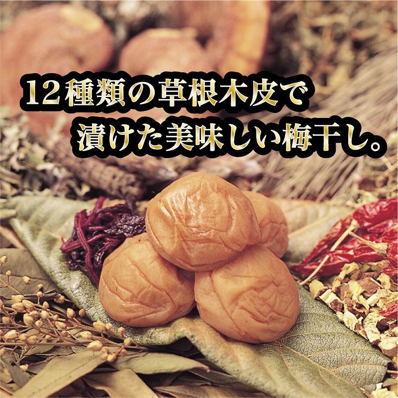 薬師梅【風(うすしお味)】 yakushi001