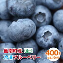 【ふるさと納税】【先行予約】有機 冷凍ブルーベリー1.6kg（400g×4袋)