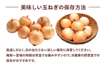 新鮮！しゃきしゃき！ 玉ねぎ 5kg （7月以降発送予定） 大阪府高槻市/高槻あぐり[AOCS027]