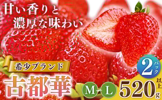 いちご 平群 の 古都華 M 〜 L サイズ 2パック  扇田農園 | 先行予約 フルーツ 果物 くだもの ブランド いちご 苺 古都華 ことか 甘い 大人気 満足 希少 希少品種 ストロベリー 美味しい 品種 特徴 糖度 ルビー色 1月 2月 3月 4月 発送 旬 送料無料 濃厚 香り 果汁 味わい深い お取り寄せ 産地直送 扇田農園 名産地 奈良県 平群 町