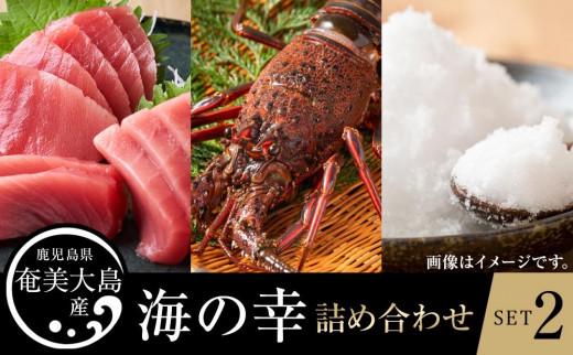 【奄美大島 瀬戸内町】海の幸　詰め合わせセット２（伊勢海老・黒マグロ・加計呂麻の塩）