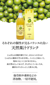 はちみつじゃばら 500ml×2本【njb261】
