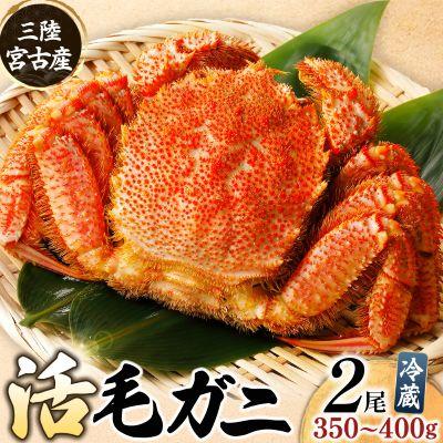 ふるさと納税 宮古市 三陸宮古産　活毛ガニ　350g〜400g×2杯