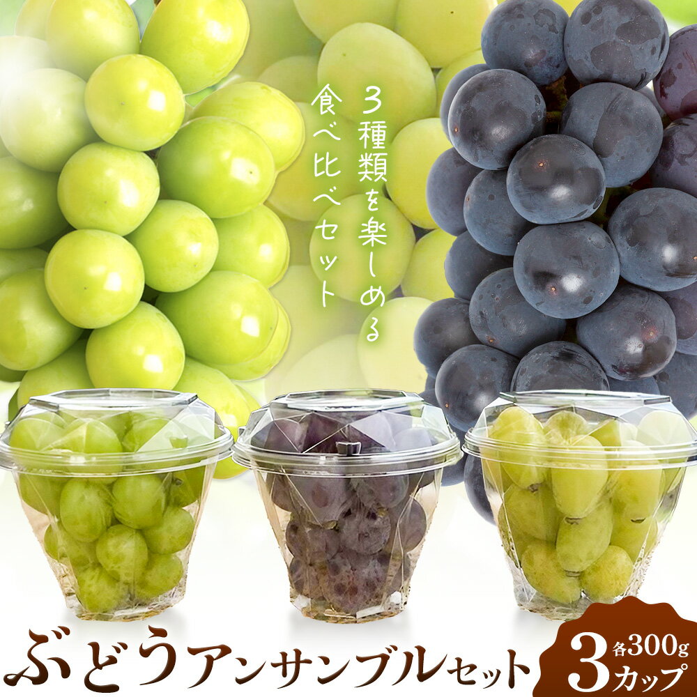 【ふるさと納税】【先行予約】ぶどう 食べ比べ たたらみねらる シャインマスカット ほほえみ ピオーネ ぶどうアンサンブルセット 3カップ 各300g Y＆G．ディストリビューター株式会社《2026年8月中旬-10月上旬頃出荷》岡山県 笠岡市 果物 フルーツ ブドウ お取り寄せ