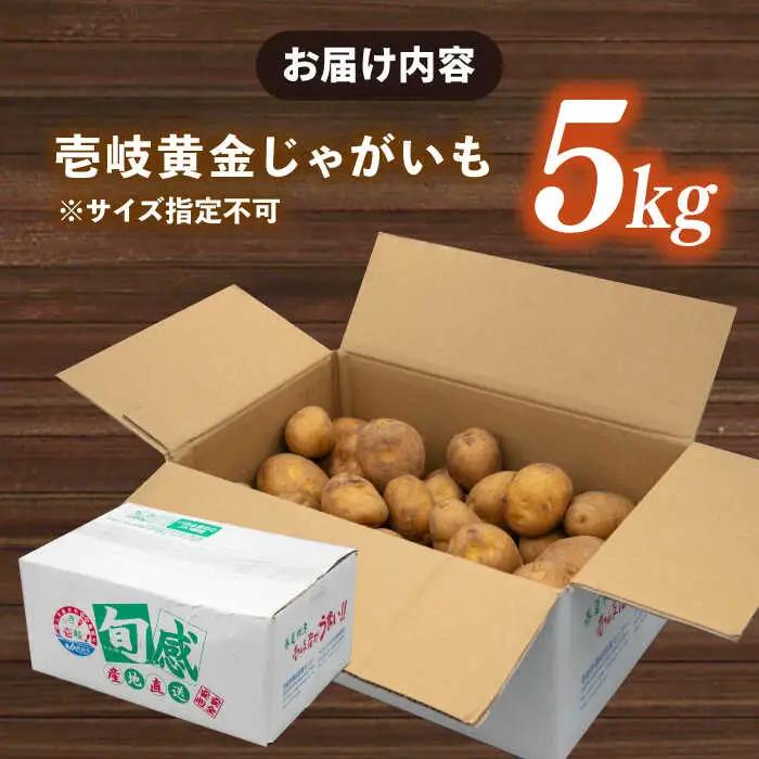 【先行予約】壱岐黄金じゃがいも 5kg [JBO139] じゃがいも 旬野菜