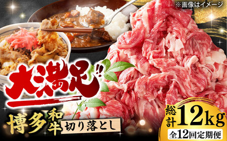 【12回定期便】 切り落とし 1000g（500g×2P）[AFBO080]
