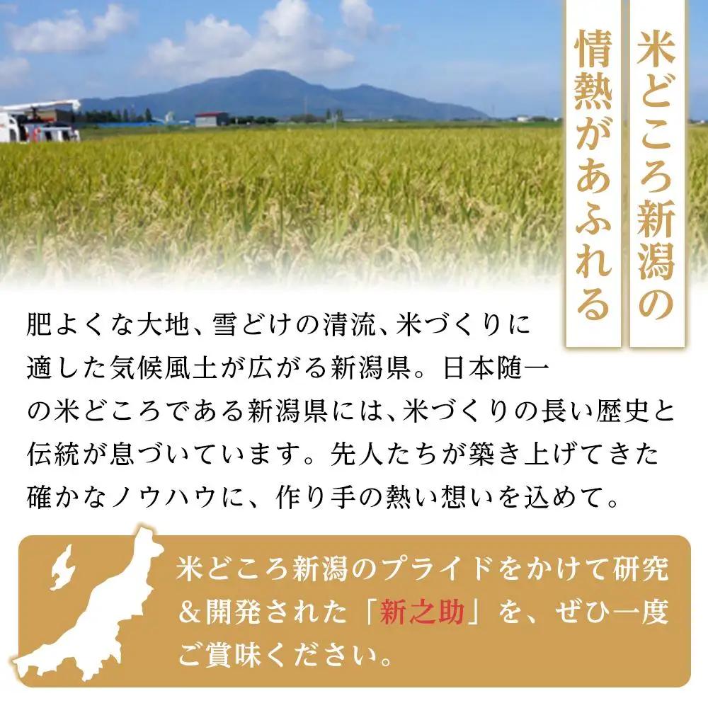 【パックごはん】新之助ごはん150g×24個 米 お米 コメ 新潟 新潟県 新之助 新潟ケンベイ