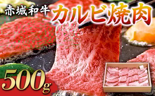 赤城和牛 カルビ 500g 焼肉 黒毛和牛 銘柄牛 F4H-0063