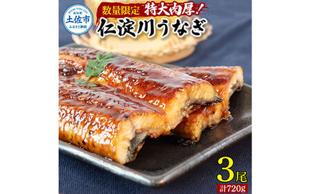 うなぎ蒲焼き 国産 特大 3尾セット タレ付き 高知県土佐市 【株式会社山本養鰻】 [BQAL001]