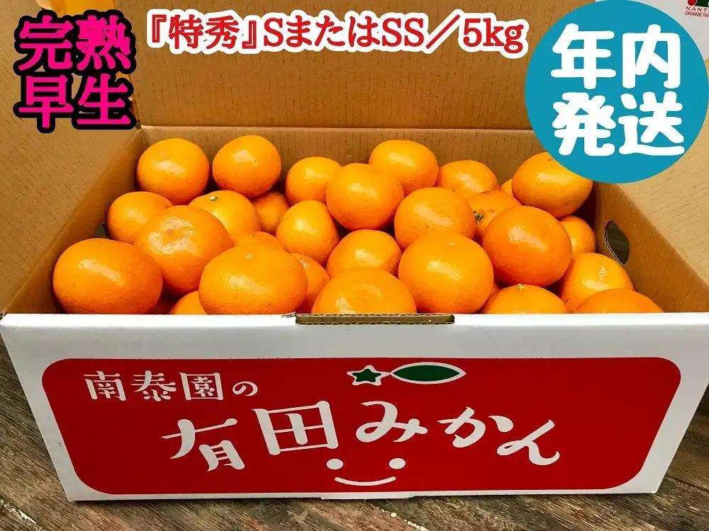 年内発送 有田みかん 特秀 S または SS サイズ みかん 5kg 和歌山 南泰園 完熟早生