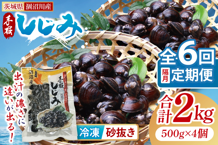 【全6回隔月定期便】茨城県涸沼川産 だしの濃さに違いが出る！手掘しじみ（砂抜き）500g×4個（2kg）【涸沼川 シジミ オルニチン 味噌汁 スープ 茨城県 水戸市】（MS-12）